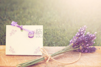 贺卡,熏衣草,邀请的,薰衣草色,欢迎标志,芳香的,标签,夏天,仅一朵花,花束