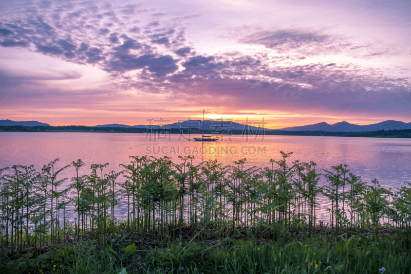 格里兰湖,苏格兰,非凡的,阿盖尔-比特,美,水平画幅,山,鸟类,动物身体部位,南