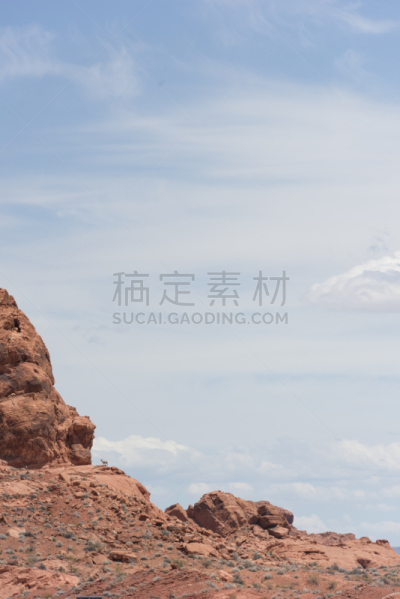 大角羊,悬崖,垂直画幅,奖杯,公园,阿尔伯塔省,无人,巨大的,野外动物,户外