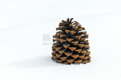 松果,格子凹凸,褐色,水平画幅,纹理效果,雪,无人,圣诞树,户外