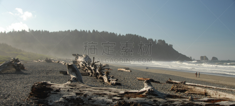 全景,奥林匹克海湾,拉普士比奇,奥林匹克山,浮木,水,天空,褐色,水平画幅,早晨