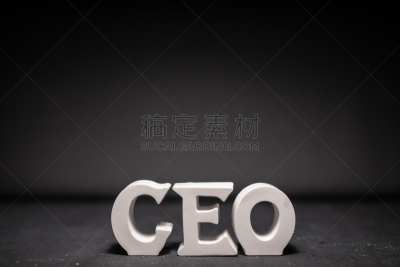 文字,首席执行官,灰色背景,水平画幅,评价者,数据,单词,信函,白色