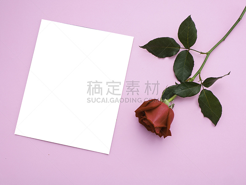 玫瑰,情人节,红色,请柬,贺卡,边框,浪漫,泰国,婚礼,春天