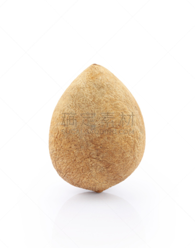 椰子,干的,垂直画幅,褐色,形状,无人,椰子树,生食,棕榈树,白色