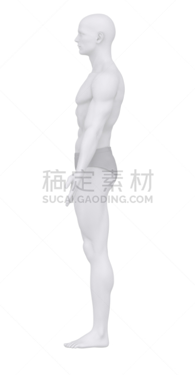 男人,背景分离,滑垒守场员,垂直画幅,白色,剪贴路径,白色背景,成年的