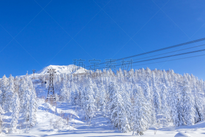 山,新旭町,雪,旭川,旅行者,戏剧性的景观,白色,高处,彩色图片,冬天