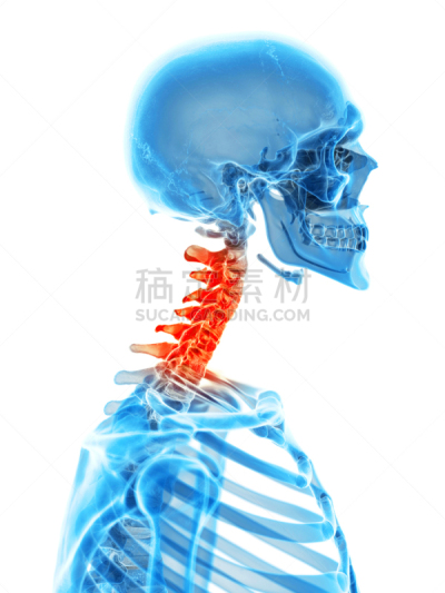 绘画插图,健康保健,衣服,生物学,症状,人,白色背景,垂直画幅,图像
