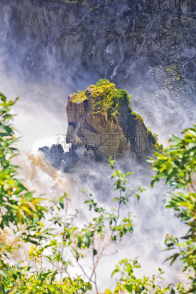 贫瘠的,大特写,阿瑟顿高地,库兰达,雨季,国际著名景点,国内著名景点,著名自然景观,热带气候,世界遗产