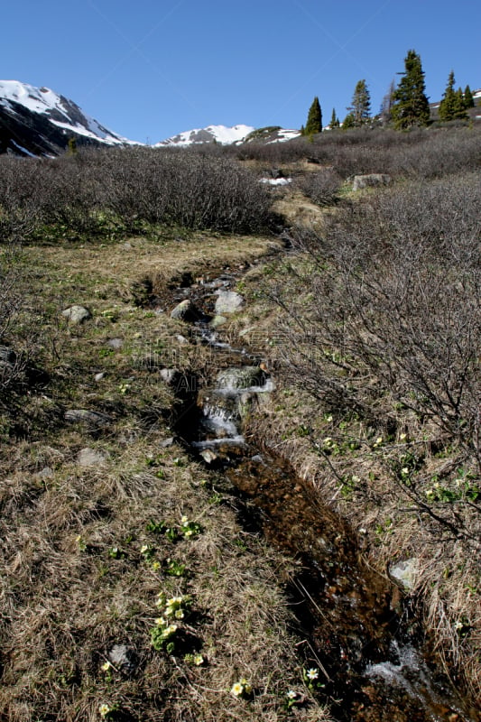 小溪,融水,甘尼生河,白河国家森林,独立山口,甘尼森国家森林,崴尔德,大陆分水岭,垂直画幅,天空