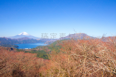箱根园,富士山,摄像机拍摄角度,箱根湿地植物园,富士箱根伊豆国立公园,静冈县,天空,里山,水平画幅,山