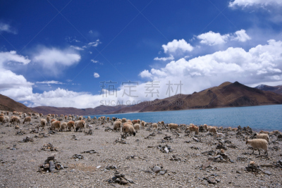 湖,羊卓雍措,yamdrok yamtso,水,天空,留白,灵性,水平画幅,喜马拉雅山脉,旅行者