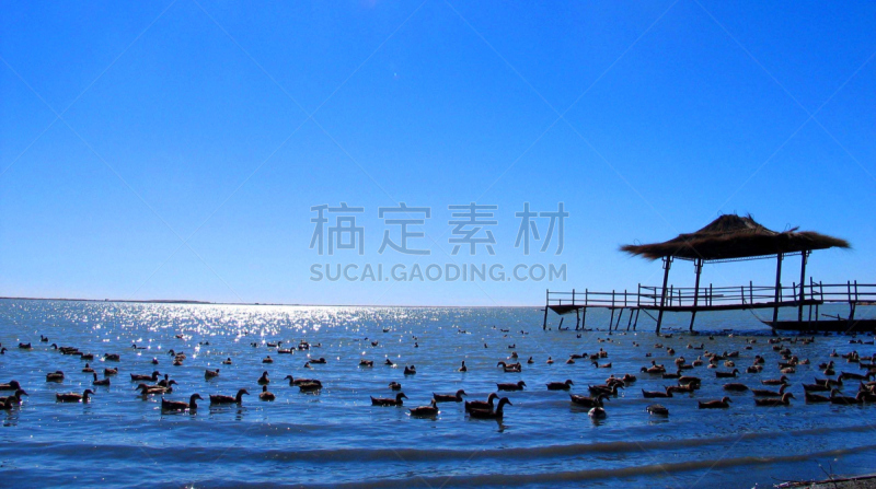 海洋,辽宁省,无人,东亚,海港,海湾,图像,水平画幅,日落,摄影