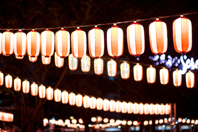 日本灯笼,京都府,美,字母,新的,艺术,灯笼,水平画幅,夜晚,伏见区