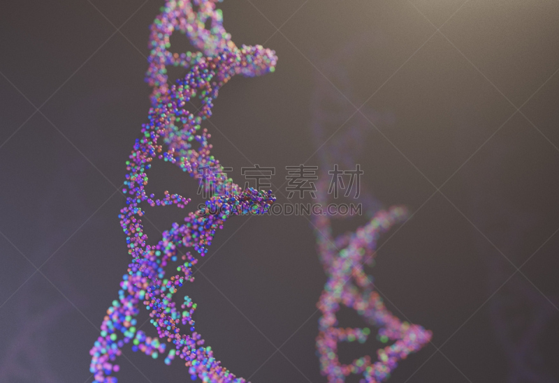 脱氧核糖核酸,原子,绘画插图,三维图形,线,式样,缩氨酸,遗传研究,螺旋,染色体