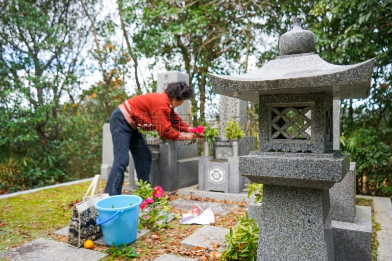 墓地,祖母,坟墓,仅一个老年女人,仅一个女人,水平画幅,仅日本人,日本,人