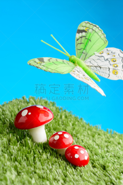 蝴蝶,草地,蘑菇,三只动物,垂直画幅,无人,夏天,瓷样伞菇,户外,草