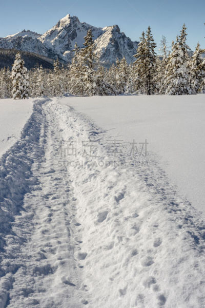 山,小路,雪上汽车运动,铅,萨蒙查理斯国家森林,爱达荷,自然,垂直画幅,天空,寒冷