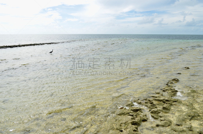 绿岛,自然,旅游目的地,水平画幅,无人,蓝色,鸟类,澳大利亚绿岛,野外动物,海洋