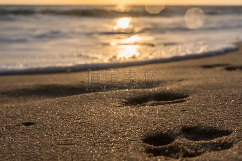 水平画幅,无人,安达卢西亚,黄昏,户外,西班牙,维尔瓦省,海滩,痕迹,爪印