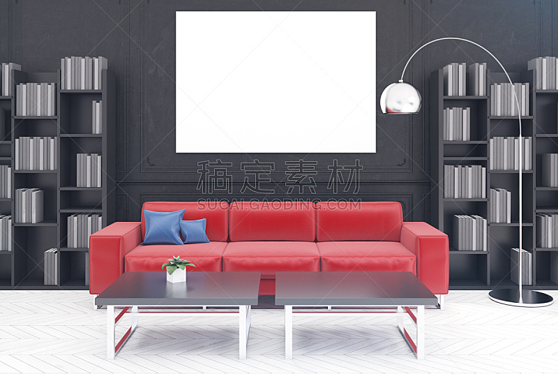 沙发,黑色,起居室,红色,水平画幅,无人,家庭生活,架子,家具