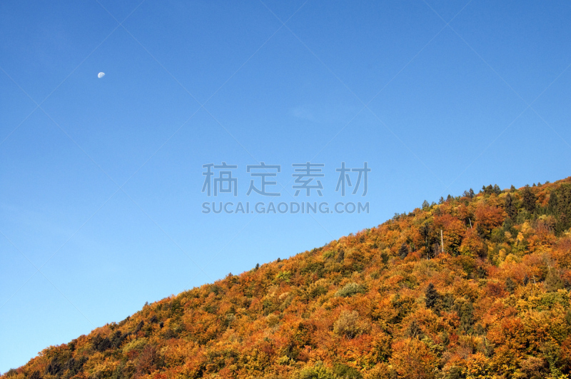 天空,秋天,蓝色,森林,阿拉维斯山脉,水平画幅,山,无人,户外,法国