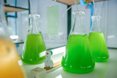 浮游生物,实验室,实验室玻璃器皿,浮游植物,叶绿体,显微镜,微生物学,生物科技,水平画幅,科学