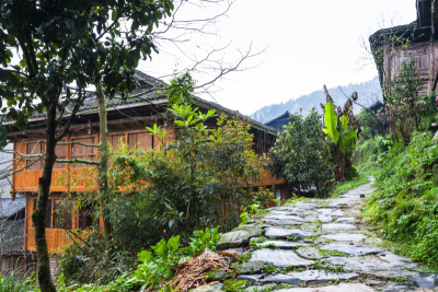 湿,小路,乡村,山,龙脊山,龙脊梯田,露台别墅,龙胜,桂林,当地著名景点