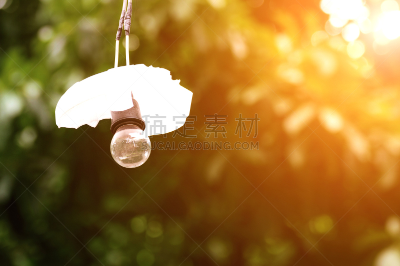 电灯泡,灯,电,悬挂的,绿色,背景,菜园,背景虚化,树