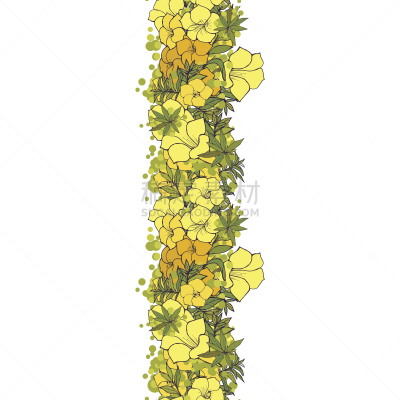 黄色,背景,热带的花,软枝黄蝉,自然,式样,无人,绘画插图,白色背景,夏天