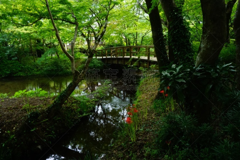 汤布院,大分县,日本,凫山,温泉,旅游目的地,水平画幅,无人,户外,摄影