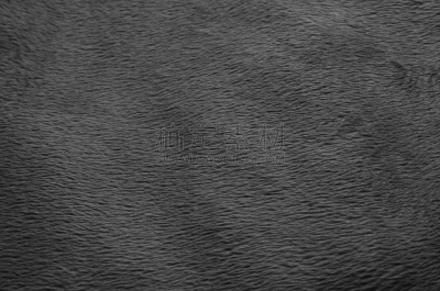 纺织品,地毯,背景,黑白图片,小毯子,水平画幅,纹理效果,无人,平视角,古典式