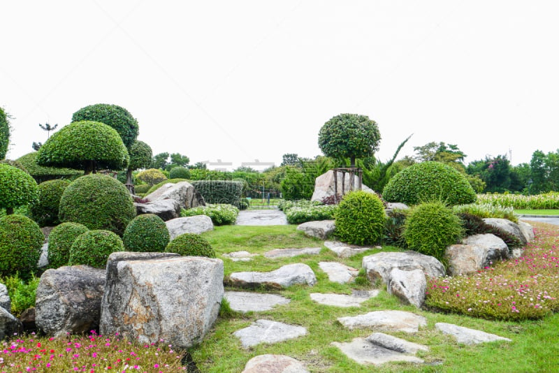 树木造型,自然,水平画幅,无人,户外,小树林,灌木,风景,叶子,田园风光