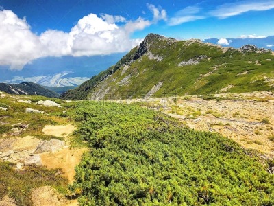 长野县,环境,云,长野县驹根市,天气,草,自然美,岩石,户外,天空