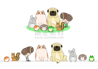 宠物,组物体,成一排,穴鸮鸟,布偶猫,南美栗鼠,宠物商店,仓鼠,刺猬