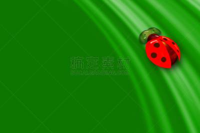 瓢虫,绿色,美,水平画幅,无人,七星瓢虫,夏天,草,刀刃草,棉二点红蝽象