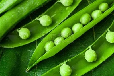 豌豆,水平画幅,绿色,豌豆荚,无人,有机食品,一模一样,俄罗斯,豆荚