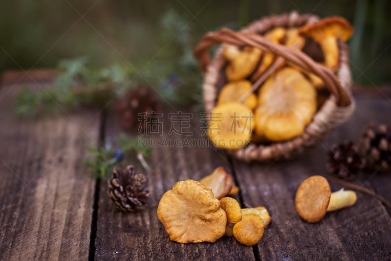 鸡油菌,篮子,食用菌,咖啡生豆,水平画幅,无人,粉虫,特写,柳条公园,清新