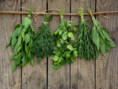 莳萝,芫荽叶,hyssop,芳香疗法,鼠尾草,草本,水平画幅,拉维纪草植物,花束,植物