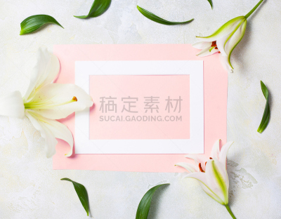 建筑结构,平铺,白色,文字,粉色背景,留白,欧亚家燕,美术效果,水平画幅,无人