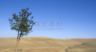 沙漠,天空,水平画幅,绿色,地形,油橄榄树,无人,蓝色,安达卢西亚,夏天