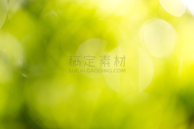 背景虚化,自然美,自然,草地保龄球,草,帕克城,植物,背景,纹理,大自然保护协会