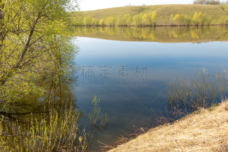 泉湖,池塘,春天,水,天空,美,日内瓦,水平画幅,无人,阿尔默勒