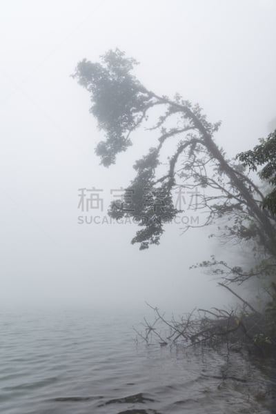 湖,雾,火山,枝,垂直画幅,水,枝繁叶茂,无人,苔藓,福图纳
