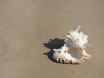 斯特兰德,自然,水,水平画幅,沙子,套色版,夏天,海岸地形,异国情调,户外