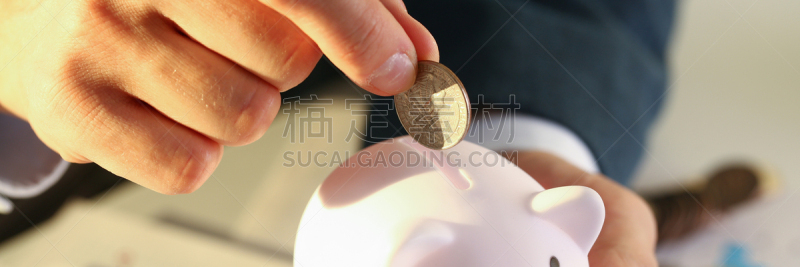 猪,举起手,男商人,输入个人身份号码,商务,保险,金融顾问,小猪扑满,银行,股市和交易所