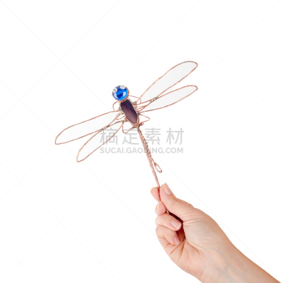 蜻蜓,彩色玻璃,手艺,手,女性,鲻鱼,分离着色,新的,艺术