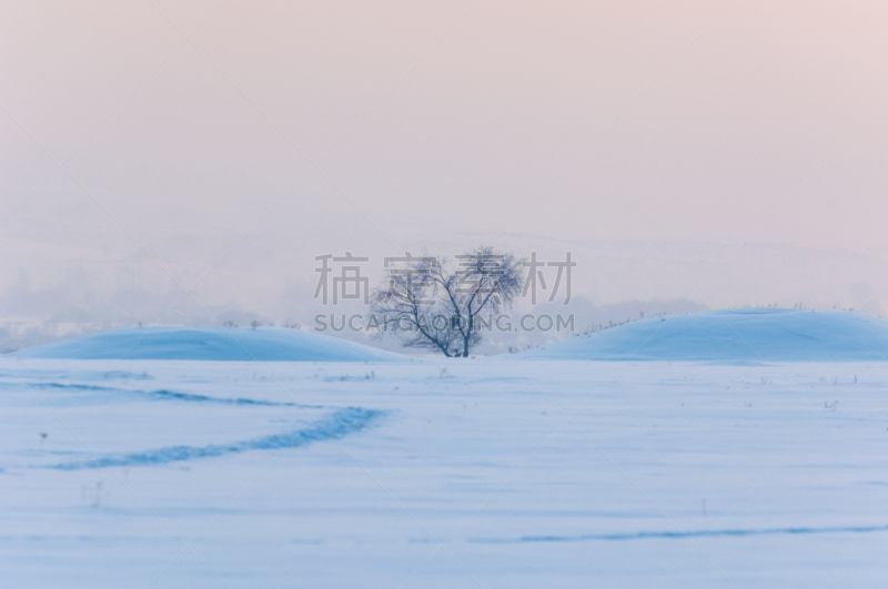 柳树,水平画幅,夜晚,无人,绘画插图,夏天,古坟,湖,草