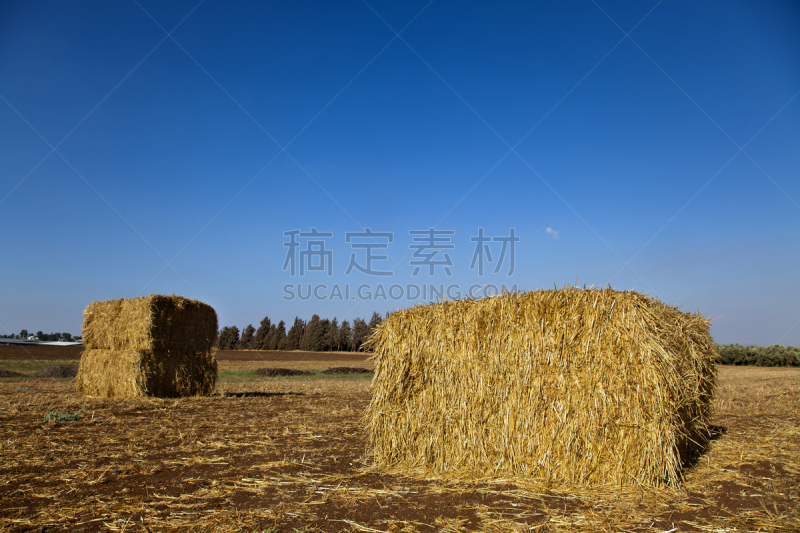 干草卷,田地,天空,留白,干草,水平画幅,无人,泥土,夏天,户外
