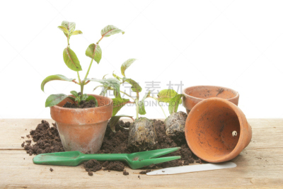 盆栽,植物群,挖洞器,赤土陶器,新的,堆肥,水平画幅,秧苗,风化的,木制