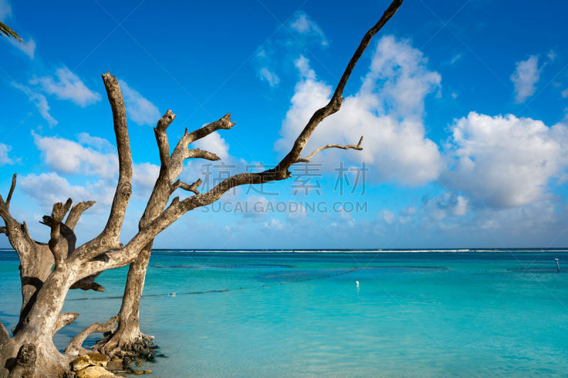 科斯塔玛雅,海滩,玛哈维,加勒比海地区,水,天空,度假胜地,水平画幅,沙子,无人